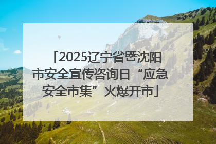2025辽宁省暨沈阳市安全宣传咨询日“应急安全市集”火爆开市